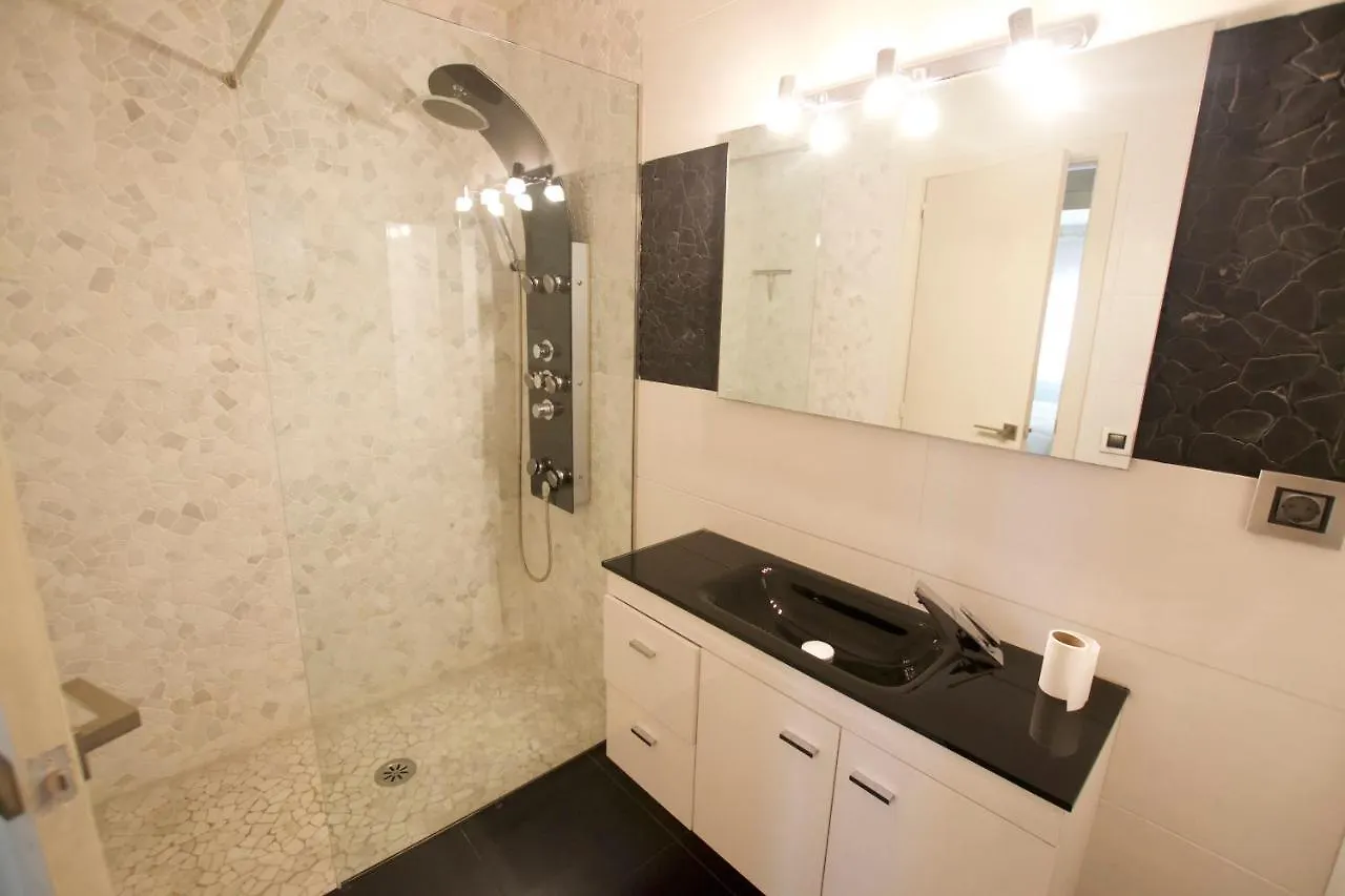 Apartament Cerdanya Apartment Puigcerda